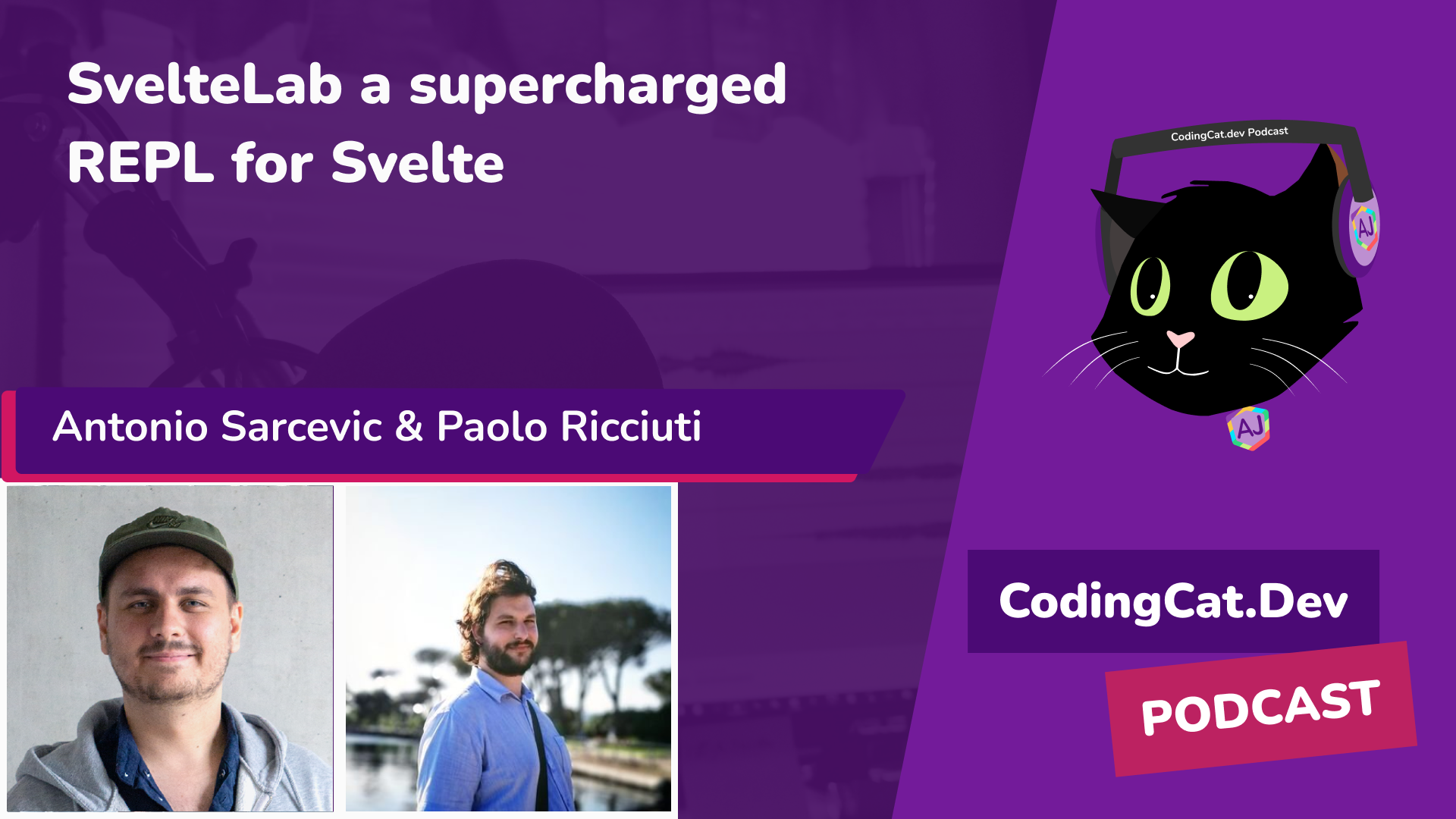 SvelteLab a supercharged REPL for Svelte