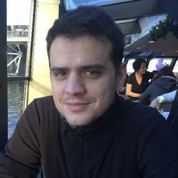 Vlad Hosu