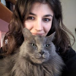 CodingCat.dev tutorial cover image