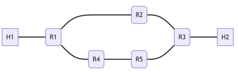loop network topology