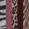 PHOENIX ANIMAL MULTI