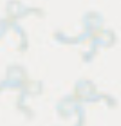 IVORY PEARL BOWS PRINT