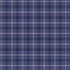 NAVY CHECK
