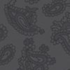 ASH PAISLEY PRINT