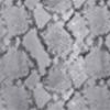 CHROME SNAKESKIN PRINT