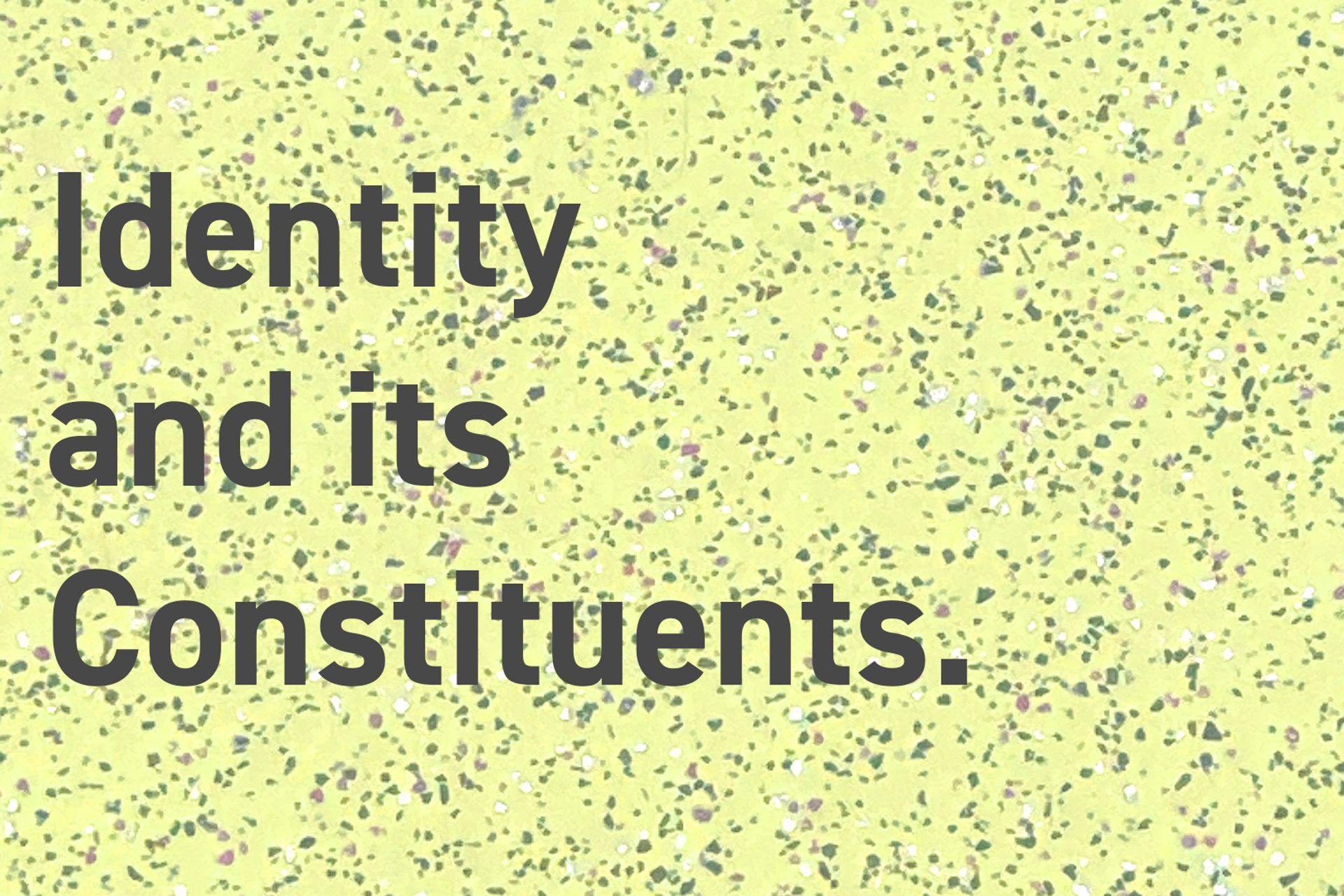 Identity and its Constituents -image