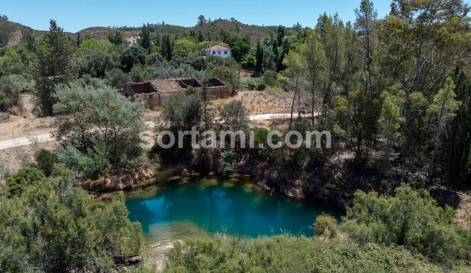 Quinta com Elevado Potencial para Turismo Rural – Portimão
