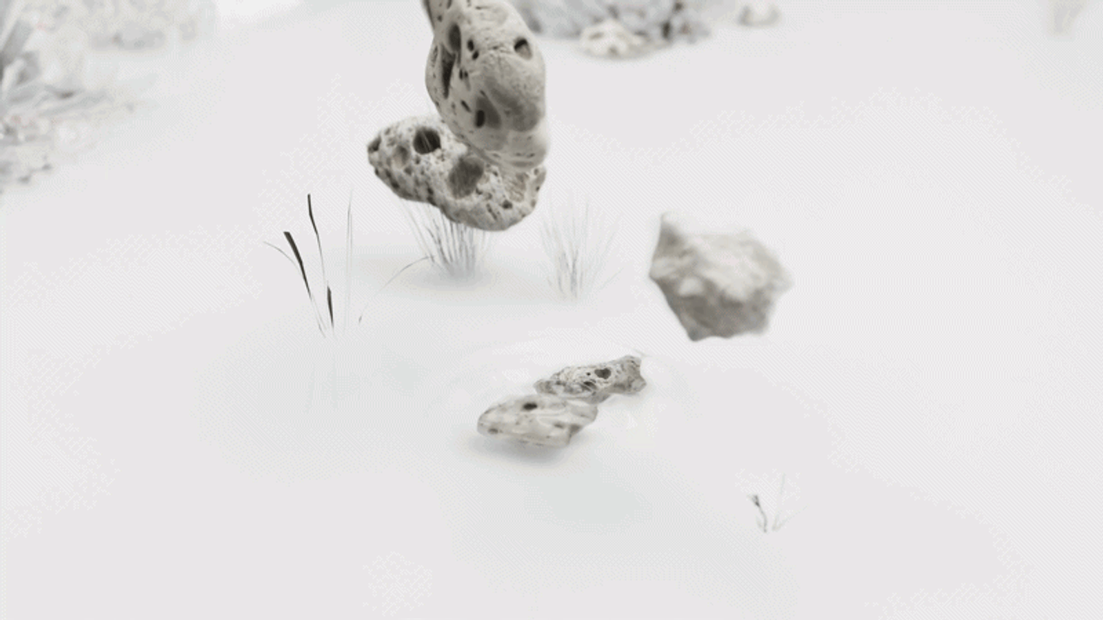 Project image