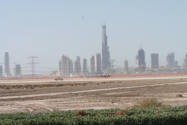 Nad Al Sheba
