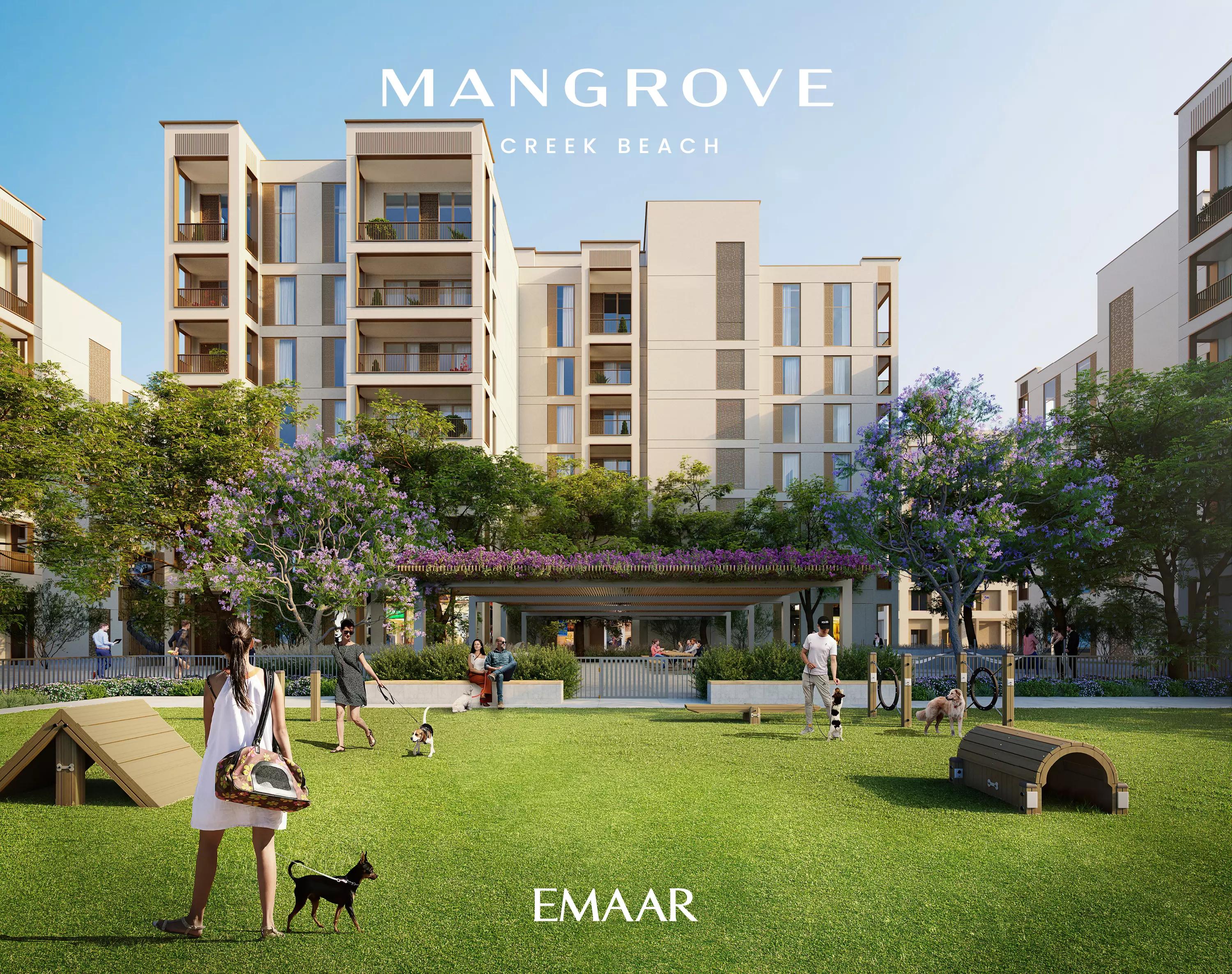 Mangrove by Emaar infinity pool deck overlooking Dubai Creek Harbour