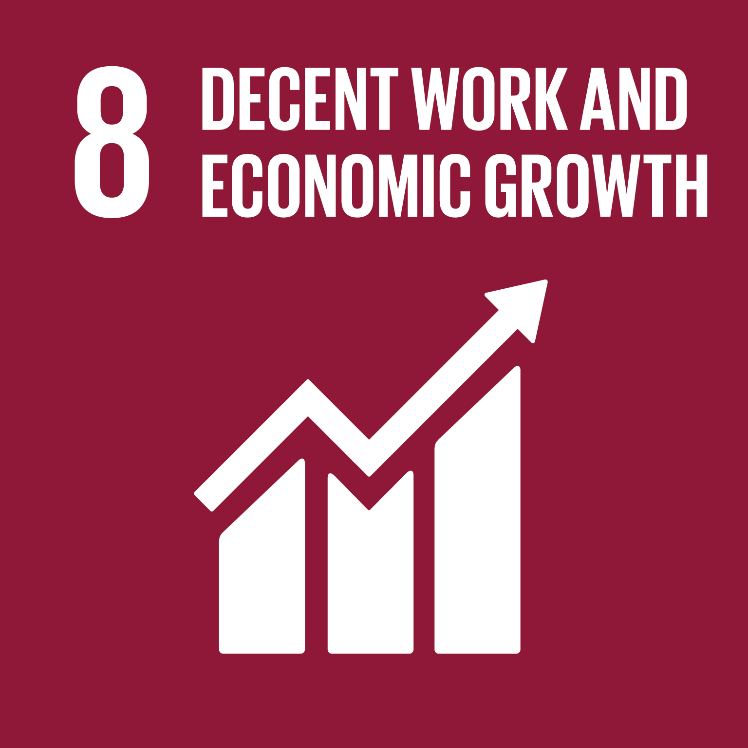 Sustainable Development Goal 8: decent work and economic growth