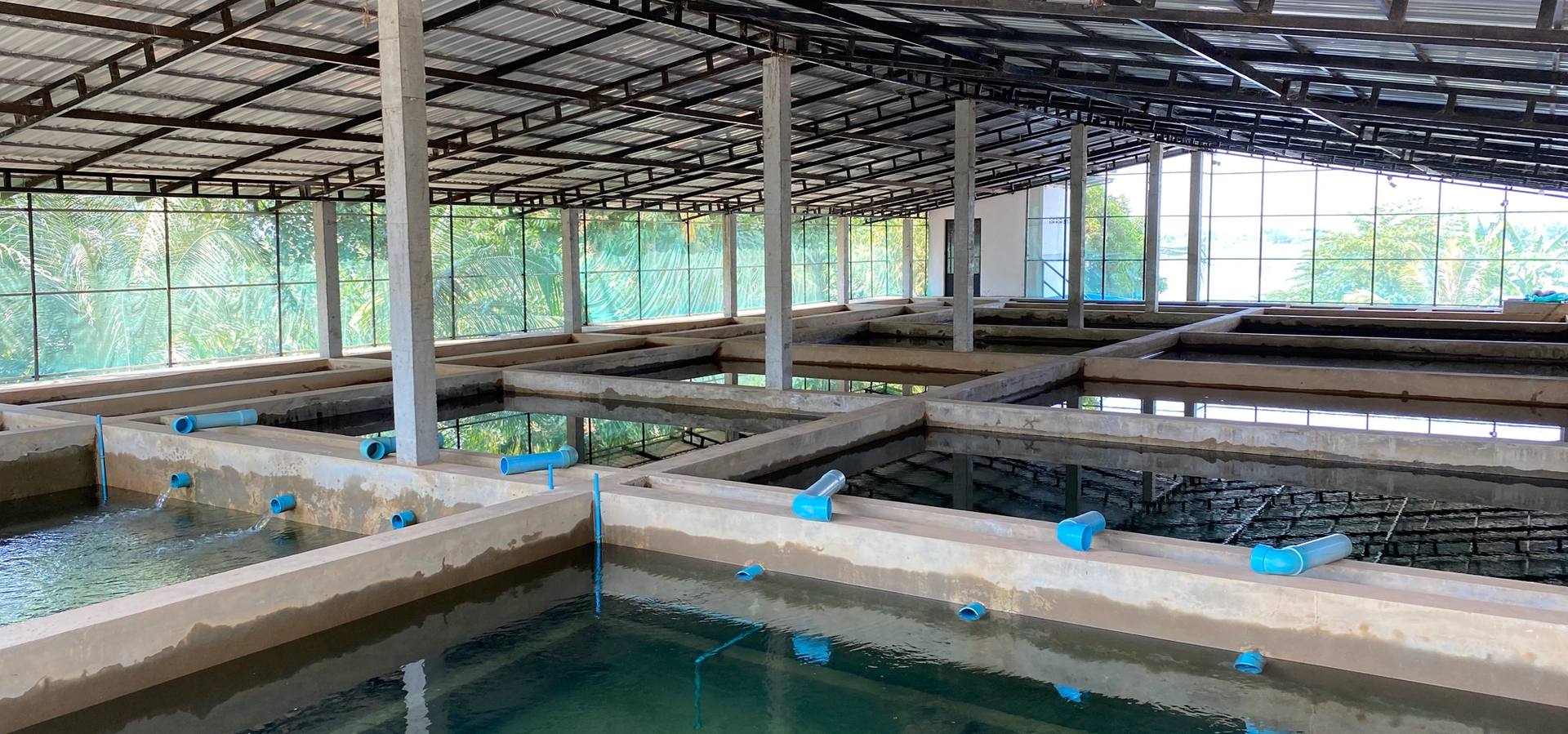 Open-air water treatment basins under a corrugated roof.