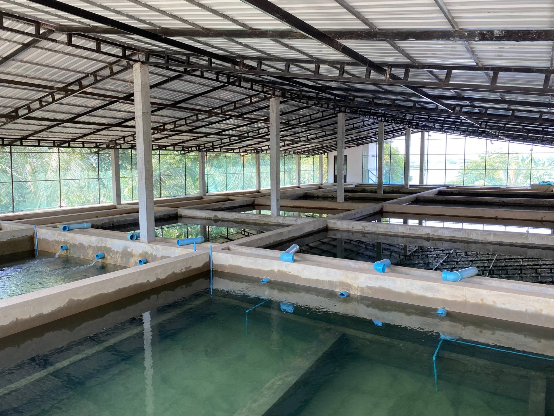 Water treatment basins under a covered hall
