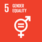 Sustainable Development Goal 5: gender equality