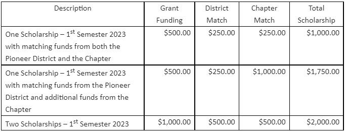 Examples of Scholarships in a table