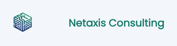Netaxis Consulting logo