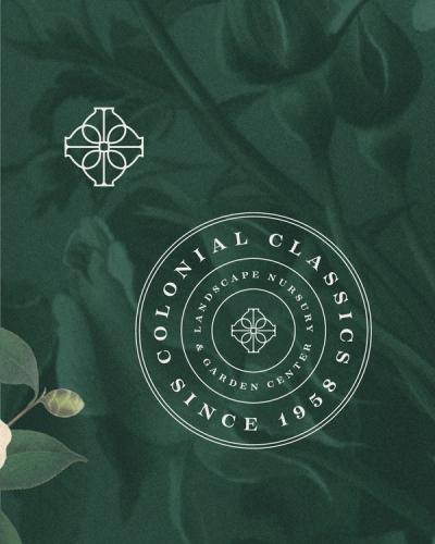 Colonial Classics Brand Identity image 5