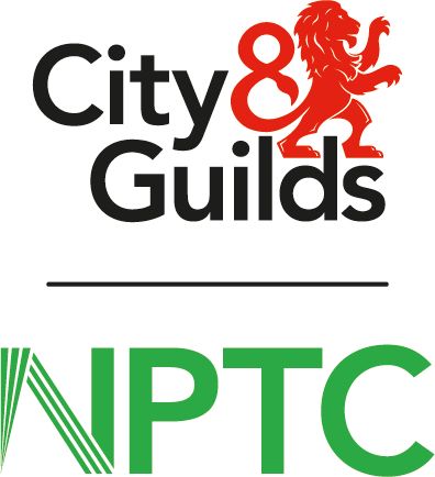 City And Guilds Firewood Expert