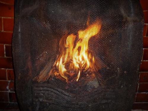 fireguard in place in front of the fire