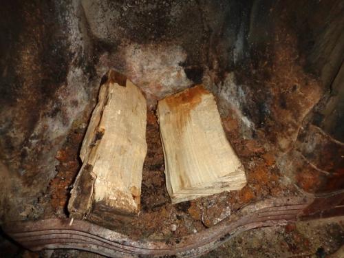 two logs on fire grate