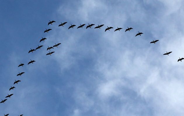 Contino Achieves AWS Migration Competency