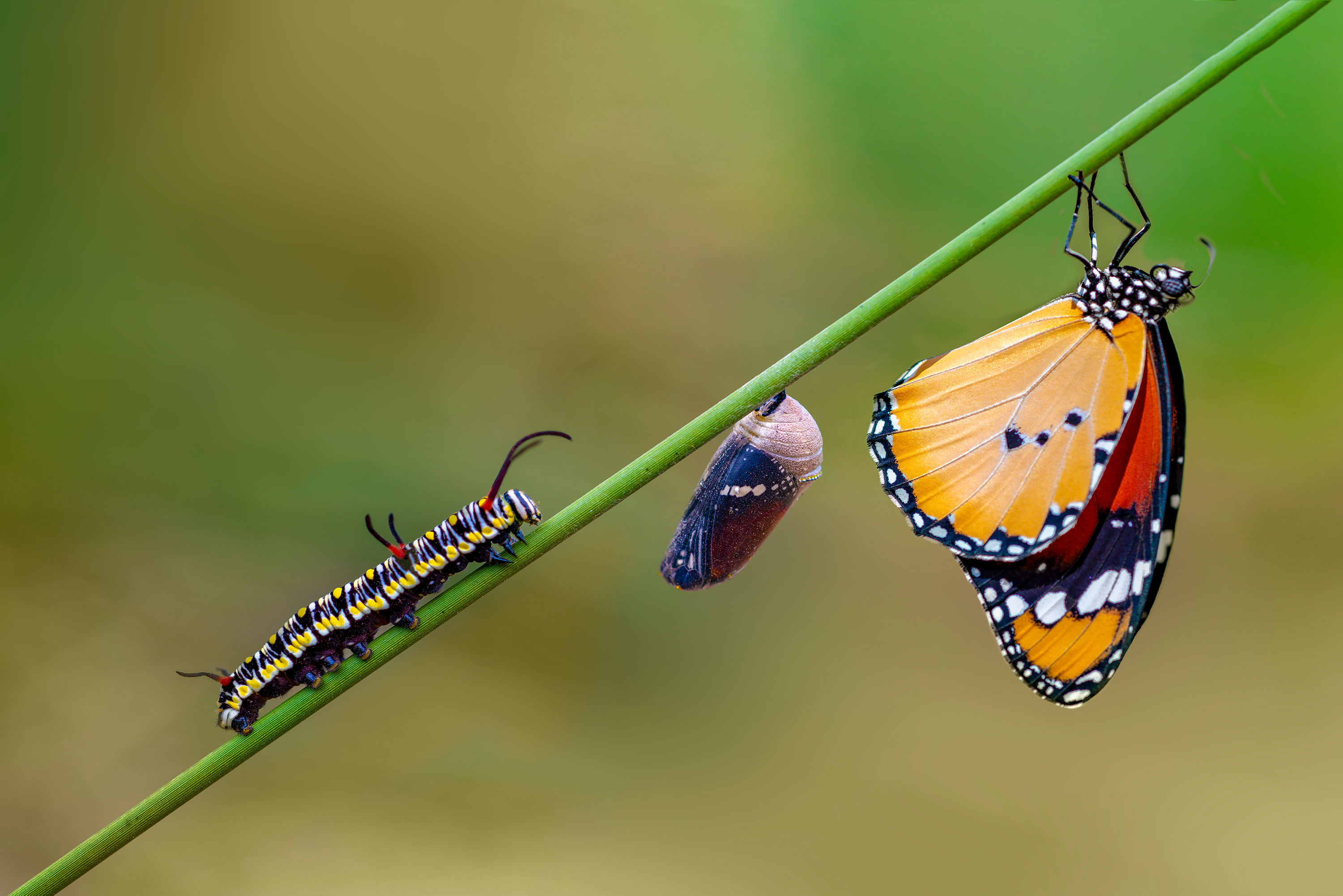 7 Ways to Move Beyond Your Lift-and-Shift Migration and Make the Most ...