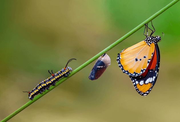 MLOps and the Machine Learning Lifecycle