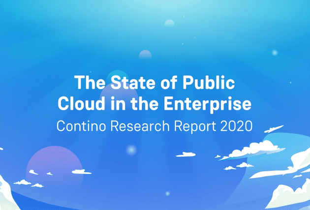 The State of the Public Cloud in the Enterprise