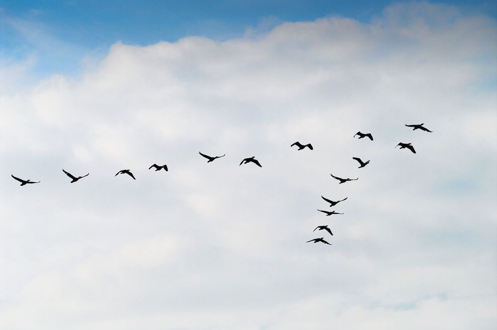 The Different Stages of Migrating to AWS: How to Go Further with the Cloud