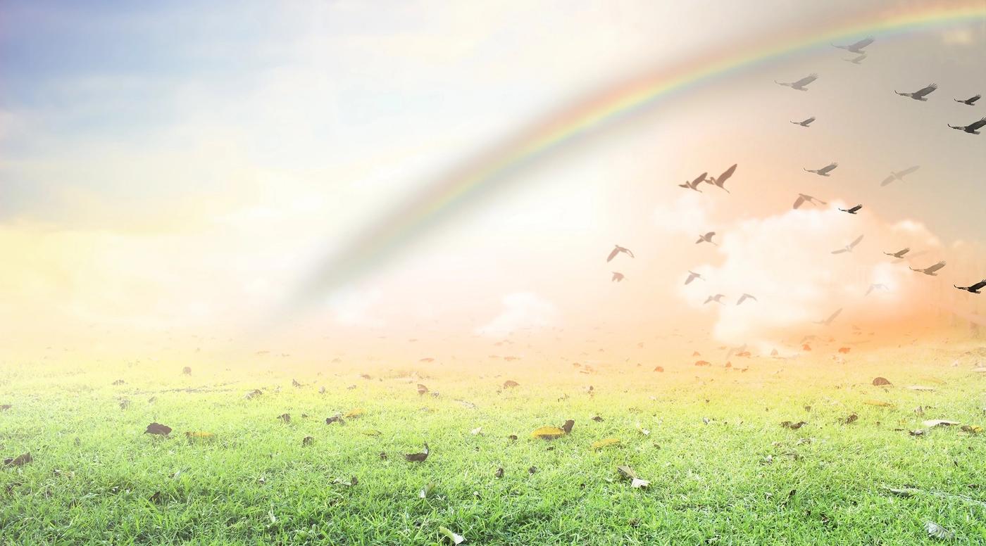 Contino AWS Lambda and Elastic File Storage