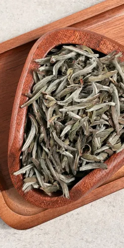 Silver Needle tea