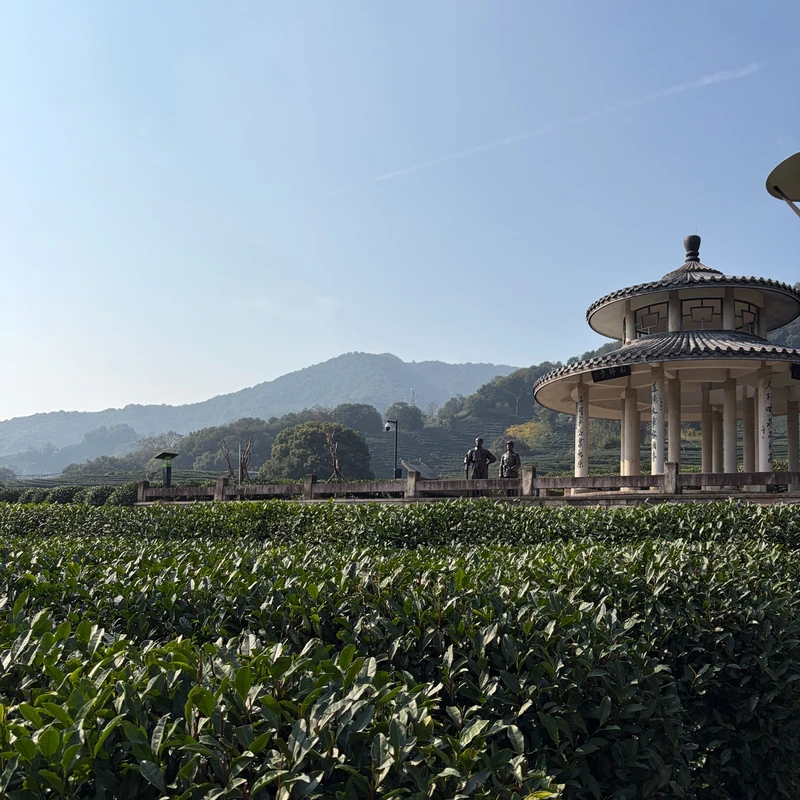 Hangzhou Tea Garden