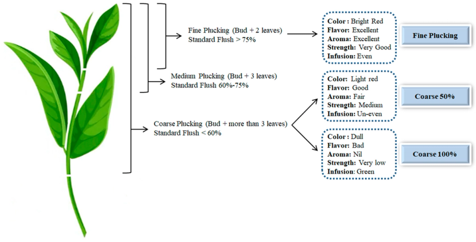 Health Properties