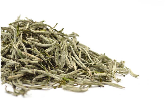 Fujian white tea Fujian white tea