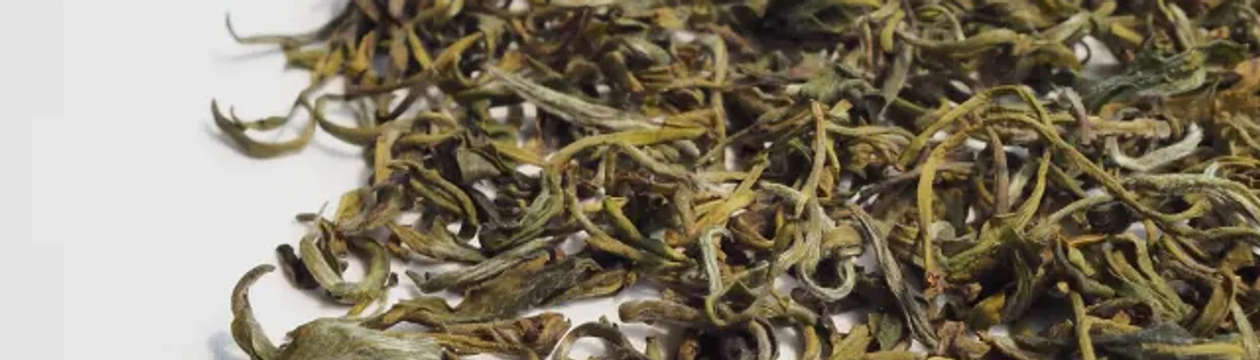 Loose-leaf Fuding white tea suitable for long-term aging