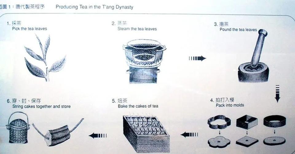 History and Terroir