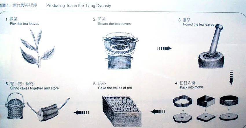 History and Terroir History and Terroir