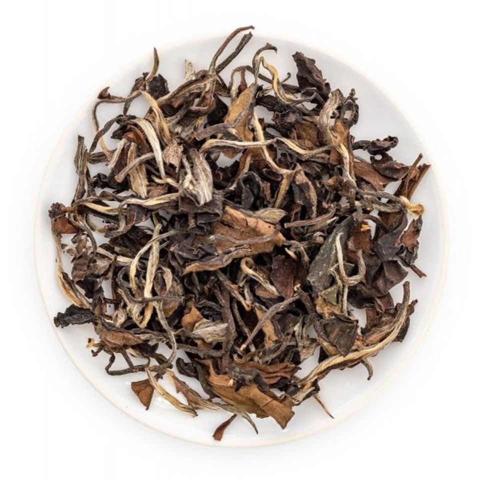 shoumei white tea