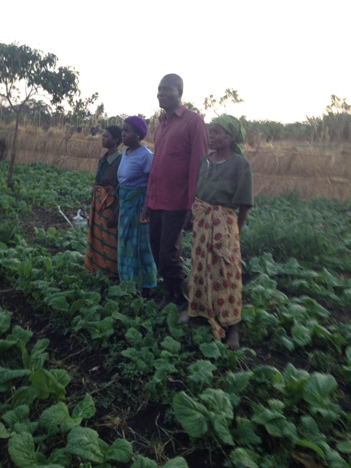 HIV+ support group in their vegetable garden