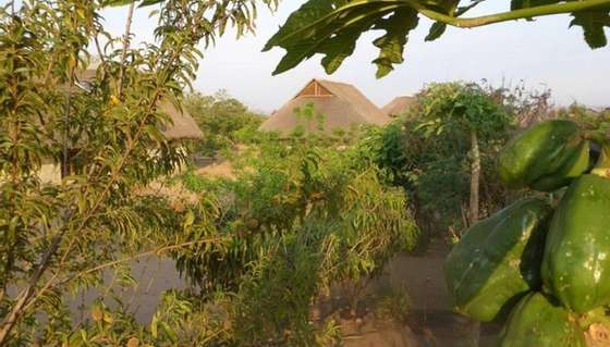 Sams village update