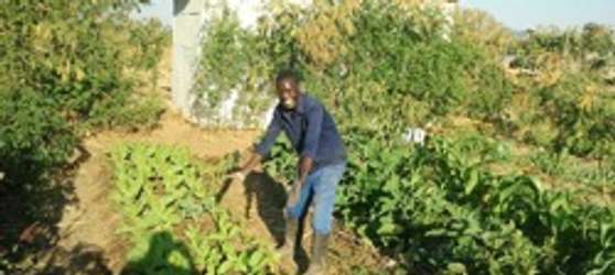 Permaculture