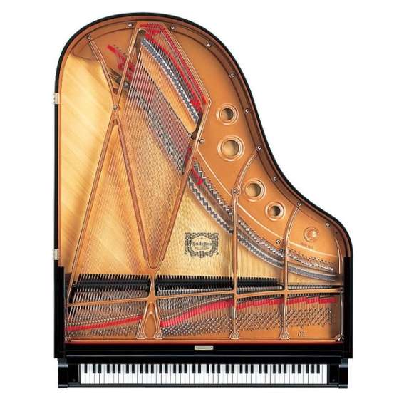 A Private Classical Piano Recital