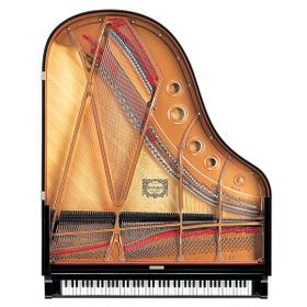 A Private Classical Piano Recital
