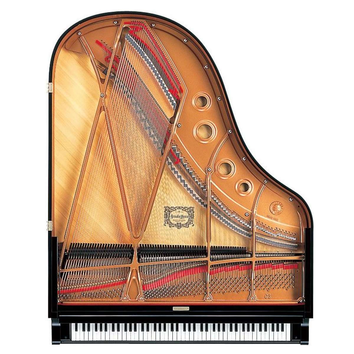 A Private Classical Piano Recital