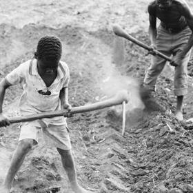 Provide gardening tools