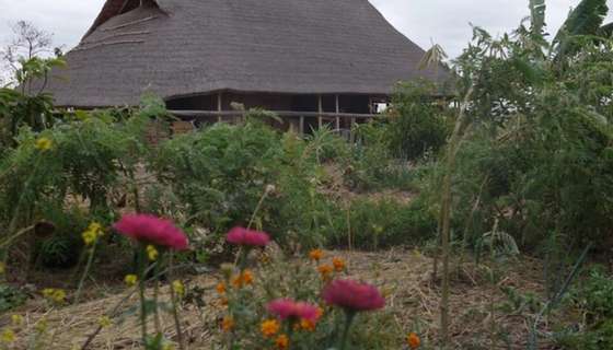Sams village update