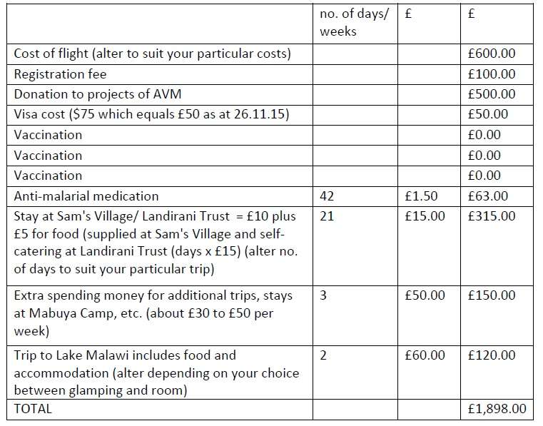 Example volunteer costs