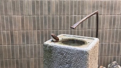 test-article3