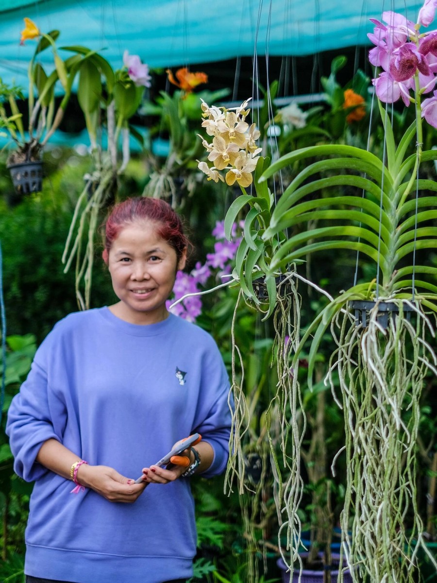 Laos