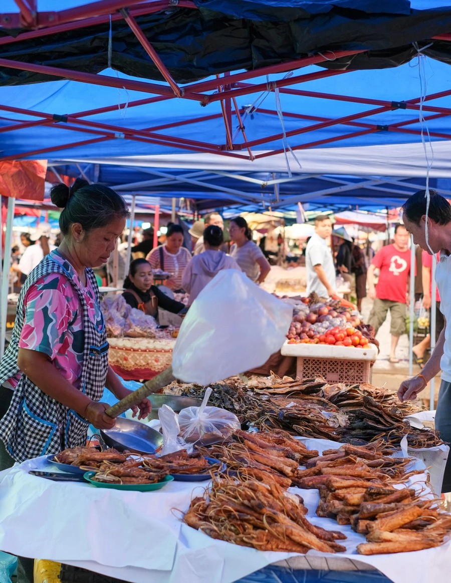Laos